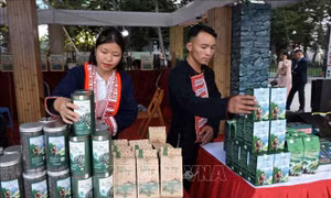 Hơn 250 gian hàng trưng bày giới thiệu sản phẩm tại Hội chợ triển lãm công nghiệp nông thôn