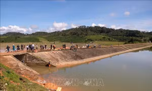 Cử đoàn chuyên gia hỗ trợ xử lý sự cố hồ Cay An, Lâm Đồng