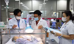 Khoanh vùng xử lý ổ dịch kịp thời, tránh để dịch sốt xuất huyết bùng phát