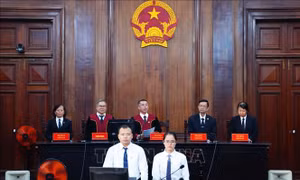 Bà Nguyễn Thị Thanh Nhàn bị tuyên phạt thêm 8 năm tù