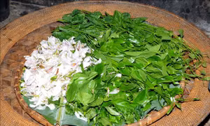 Những món ăn độc đáo từ hoa ban