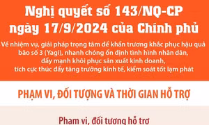 Nghị quyết số 143/NQ-CP: Phạm vi, đối tượng và thời gian hỗ trợ