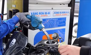 Triển khai áp dụng mức thuế bảo vệ môi trường từ 11/7