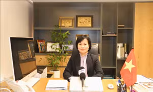 115 năm ngày Bác Hồ ra đi tìm đường cứu nước: Dấu ấn Hong Kong - Một địa danh, hai cột mốc 