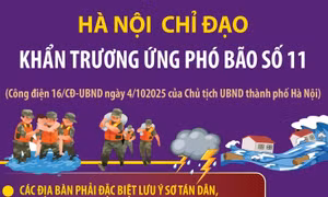 Hà Nội chỉ đạo khẩn trương ứng phó bão số 11
