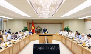 Hoàn thiện dự thảo phát triển giáo dục phù hợp