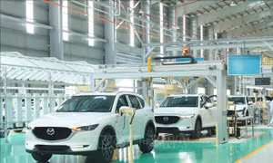 Thị trường ô tô Việt Nam 2025: Doanh số lao dốc, dự báo cả năm khó đạt kỳ vọng