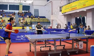 178 VĐV tham gia Giải vô địch bóng bàn toàn quốc Báo Nhân Dân