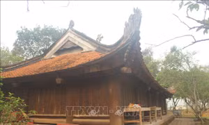 Đền thờ Lê Hoàn - ngôi đền cổ nhất xứ Thanh đón nhận bằng Di tích quốc gia đặc biệt