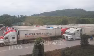 Tháo gỡ khó khăn về xuất nhập khẩu tại Lào Cai