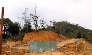 Huyện Kon Plông (Kon Tum) lập Tổ công tác đặc biệt kiểm tra, xử lý vi phạm về đất đai