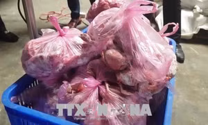 Phát hiện hàng chục tấn thực phẩm tươi sống và đông lạnh không rõ nguồn gốc xuất xứ