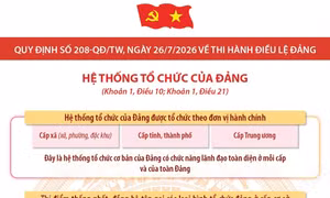 Quy định số 208-QĐ/TW: Hệ thống tổ chức của Đảng