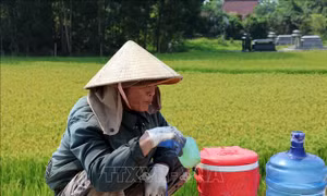 Chủ động bảo vệ sức khỏe, ngăn bệnh truyền nhiễm trong mùa nắng nóng