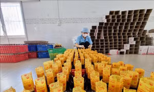 Nước mắm truyền thống hút hàng mùa Tết