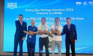 Giải Marathon Quốc tế Di sản Hạ Long 2026 dự kiến thu hút 18.000 vận động viên đua tài