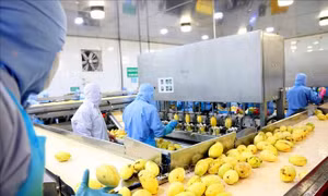 Ngành chế biến, chế tạo tiếp tục giữ vai trò 'đầu tàu' trong sản xuất công nghiệp