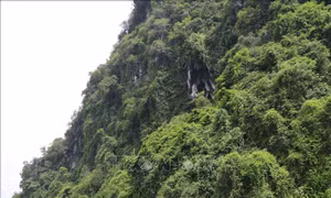 Chùa Hang Úc - công trình văn hóa, tâm linh độc đáo ở Yên Bái