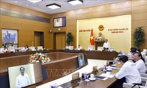 UBTV Quốc hội cho ý kiến về miễn học phí cho học sinh mầm non, phổ thông công lập từ năm học 2025-2026