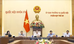 Sửa đổi, bổ sung các luật về an ninh, trật tự gắn với cắt giảm thủ tục hành chính, phân cấp, phân quyền