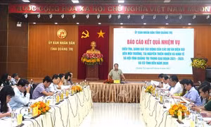 Đánh giá tác động của các dự án điện gió