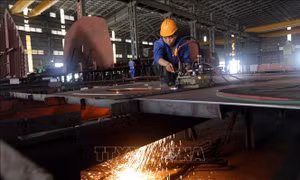 Xử lý sớm các tồn tại, vướng mắc của ngành đóng tàu