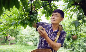 Sản xuất nông sản an toàn, góp phần bảo vệ môi trường
