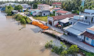 Cần Thơ tìm lời giải căn cơ cho bài toán sạt lở