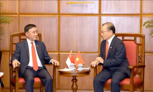 Đưa hợp tác song phương Việt Nam - Singapore phát triển toàn diện, đi vào chiều sâu, thực chất