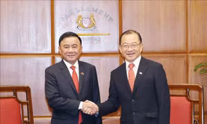 Thường trực Ban Bí thư Trần Cẩm Tú hội kiến Chủ tịch Quốc hội Singapore