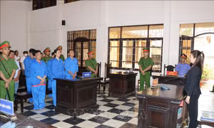 Tuyên án 6 bị cáo trong vụ sai phạm tại Trung tâm đăng kiểm xe cơ giới 84-02D Trà Vinh