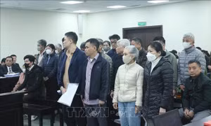 Vụ đưa và nhận hối lộ tại Công ty LanQ: Làm rõ 'con đường' cấp thuốc vào Viện Y dược học dân tộc