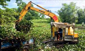 Thừa Thiên - Huế: Ra quân trục vớt bèo khơi thông dòng chảy 