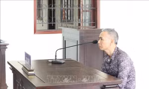 Vô tình 'tìm thấy' kẻ lừa đảo khi đọc báo
