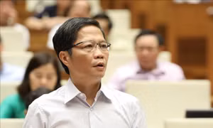 Khơi dậy nội lực, nâng cao khả năng thích ứng và sức chống chịu của nền kinh tế