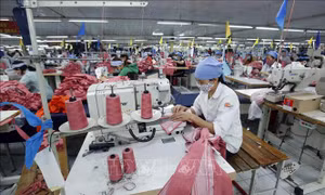 Cơ hội cho doanh nghiệp giữa dịch COVID-19