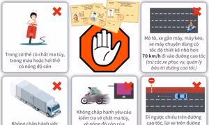 11 vi phạm bị tước ngay bằng lái theo dự thảo luật mới