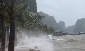 Ứng phó với bão số 4: Huyện đảo Bạch Long Vĩ đã có gió cấp 7
