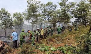 Huế kịp thời khống chế nhiều đám cháy liên tiếp
