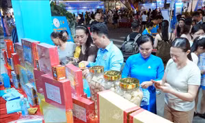 Ngày Văn hóa, Du lịch Khánh Hòa tại Quảng Trị năm 2026