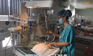 Đặt thành công stent động mạch, cứu sống bệnh nhi 1 ngày tuổi