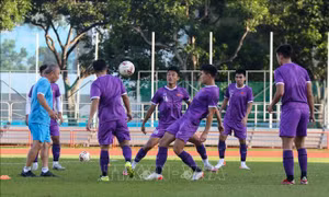 AFF Cup 2020: HLV Park Hang-seo tiết lộ chiến thuật của Việt Nam trước Campuchia
