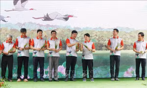 Phục hồi và phát triển đàn sếu đầu đỏ tại Vườn quốc gia Tràm Chim