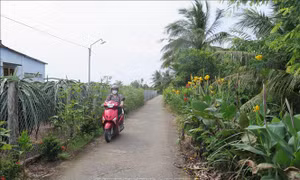 Long An hướng đến nông thôn mới nâng cao - Bài cuối: Hành trình không có điểm dừng