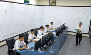 Thủ tướng Chính phủ biểu dương EVN triển khai tốt dịch vụ điện trực tuyến
