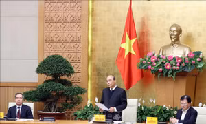 Thủ tướng chủ trì Hội nghị tổng kết 10 năm Đề án An ninh lương thực quốc gia 