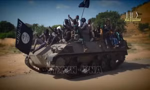 Cameroon: Hàng trăm tay súng Boko Haram ra đầu hàng trong năm 2019