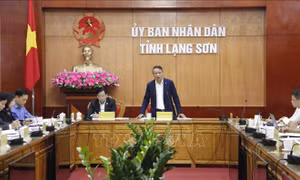 Thanh tra Chính phủ kiến nghị UBND tỉnh Lạng Sơn khắc phục tồn tại theo kết luận thanh tra