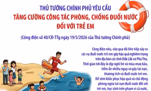 Thủ tướng Chính phủ yêu cầu tăng cường công tác phòng, chống đuối nước đối với trẻ em