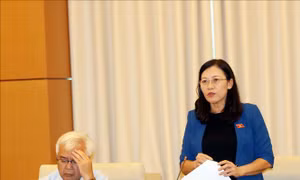 Kỳ họp thứ 8, Quốc hội khóa XIV: Hoàn thiện thể chế về giám định tư pháp